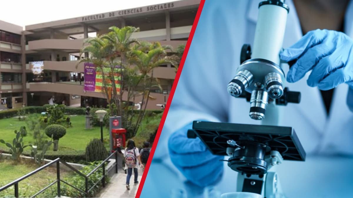 universidades peruanas que lideraron la producción científica en 2024