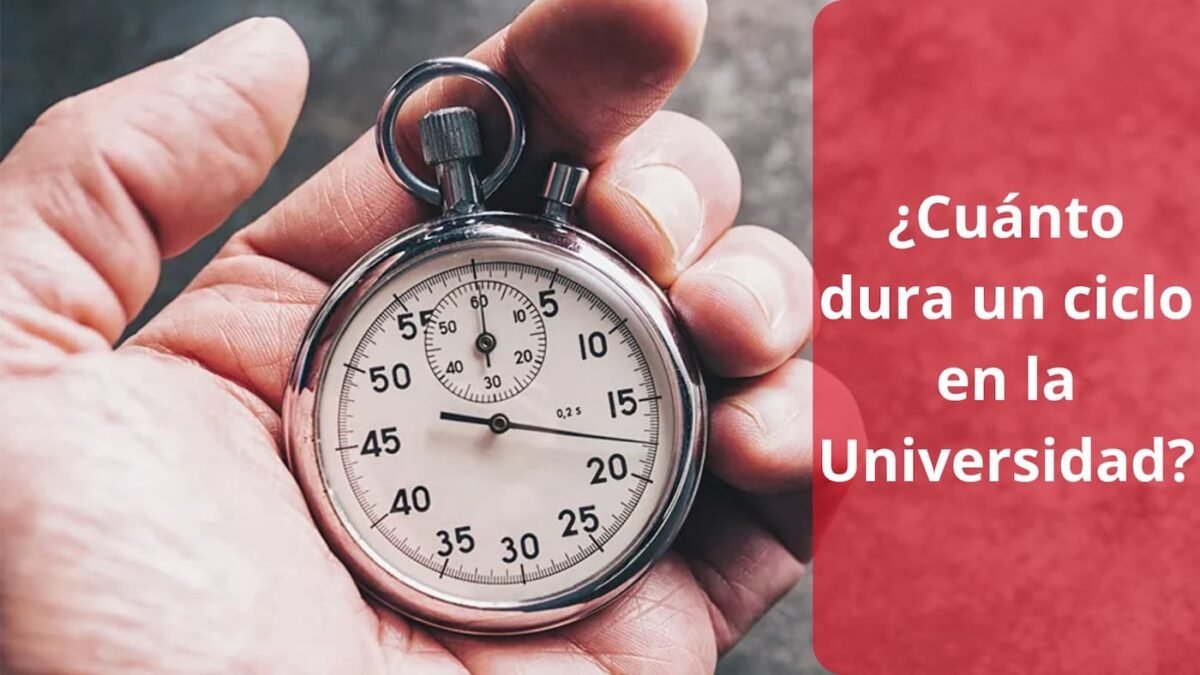 ¿Cuánto dura un ciclo en la Universidad?