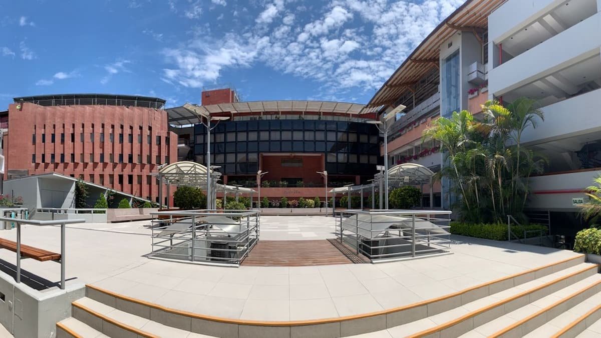 Universidad del Pacífico