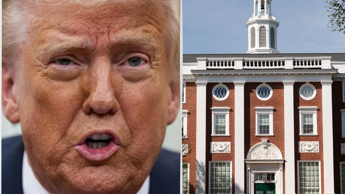 Trump bloquea ingreso de peruanos a Harvard: lo que está pasando