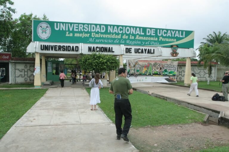 Universidad Nacional de Ucayali